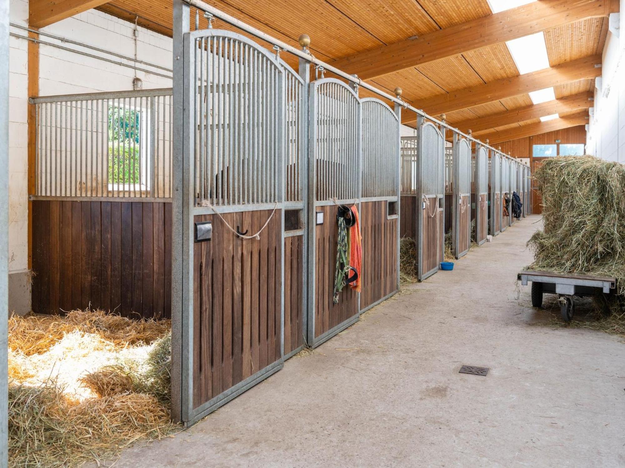 Holiday Home On A Horse Farm In The L Neburg Heath Eschede ภายนอก รูปภาพ