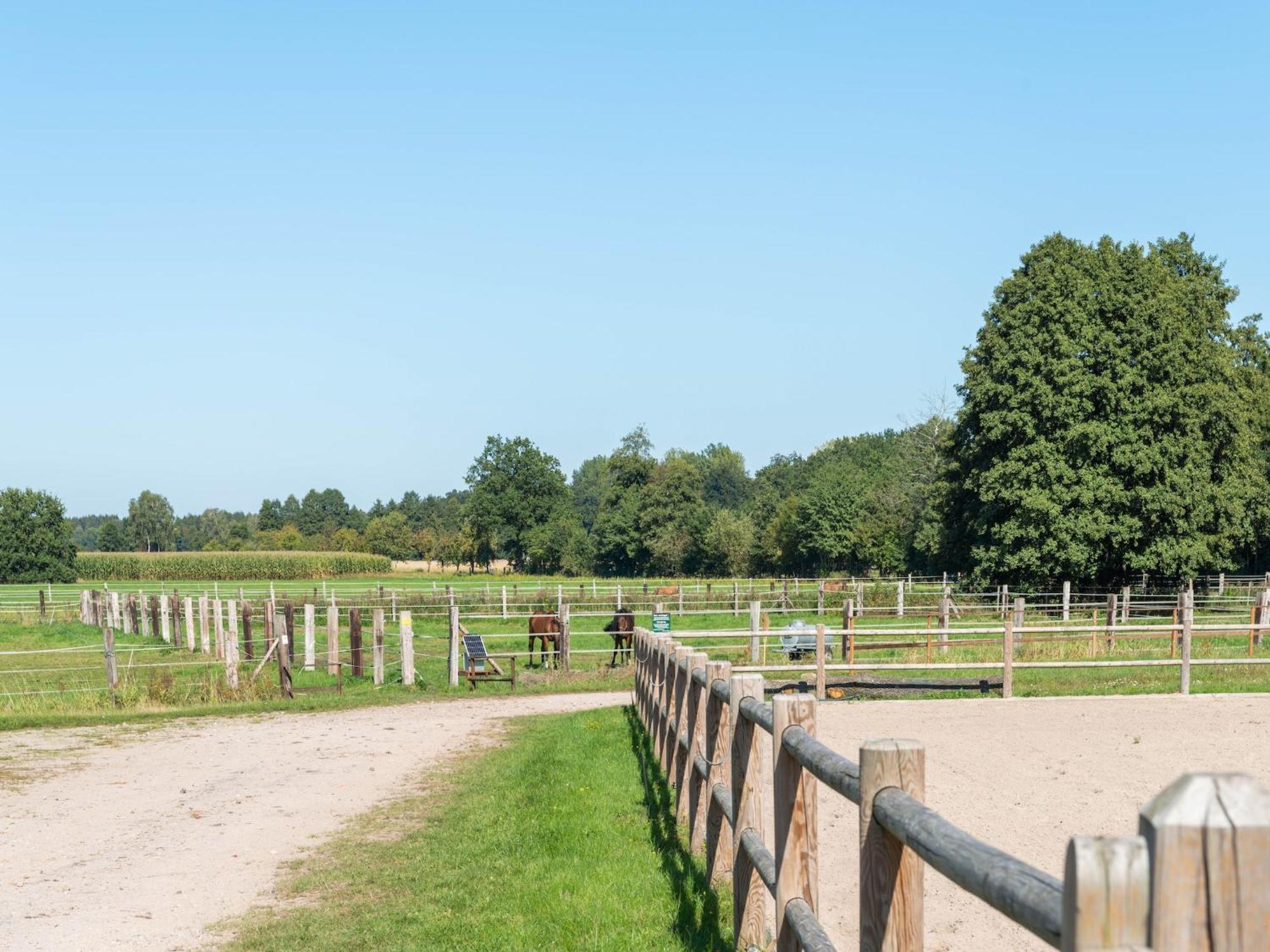 Holiday Home On A Horse Farm In The L Neburg Heath Eschede ภายนอก รูปภาพ