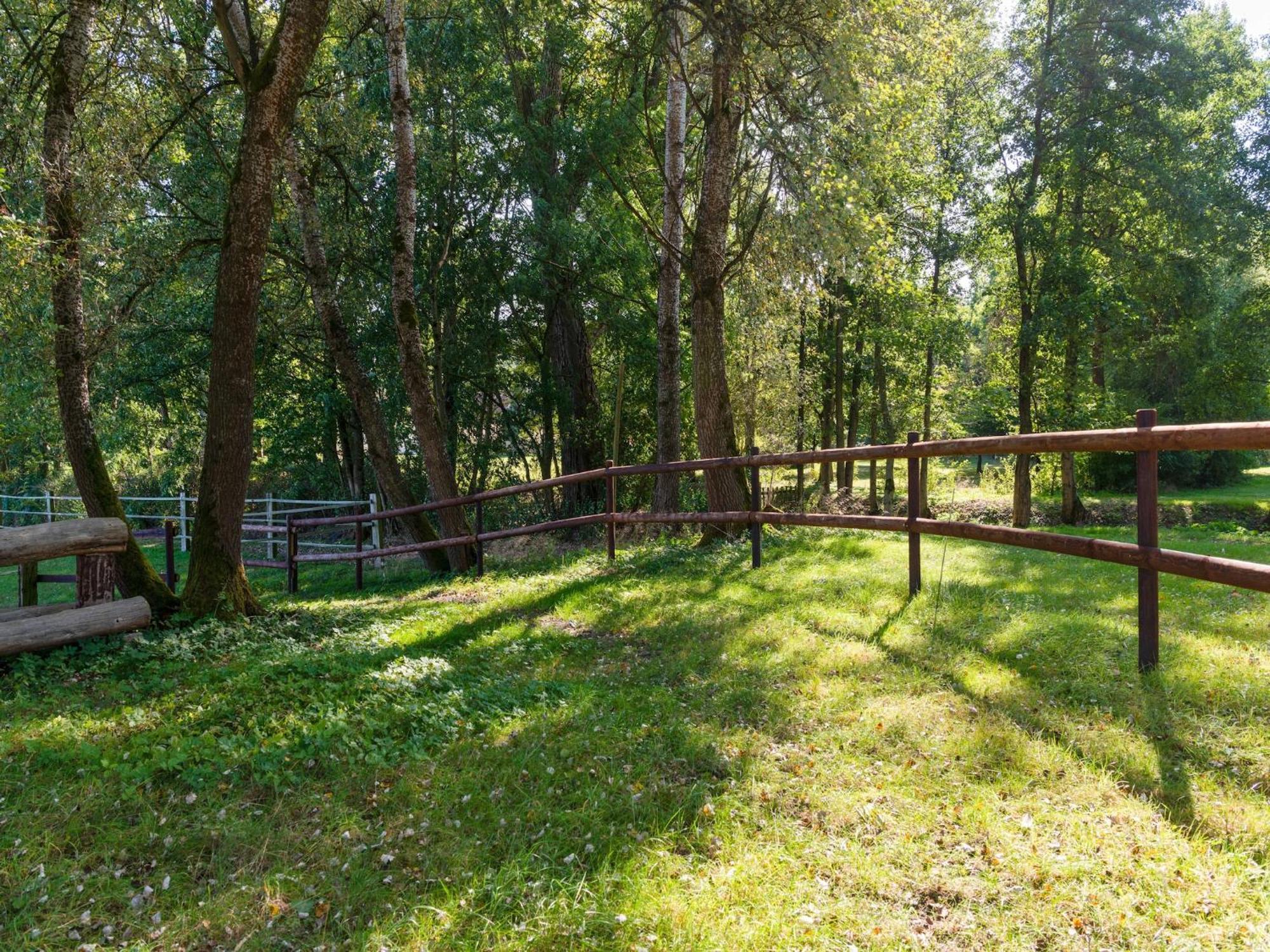 Holiday Home On A Horse Farm In The L Neburg Heath Eschede ภายนอก รูปภาพ